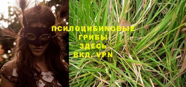 apvp Няндома