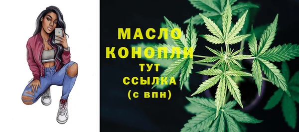 apvp Няндома